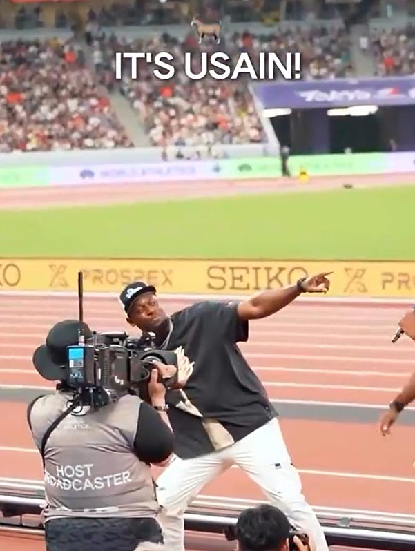 我会咨询多, 看会让我紧, 送了出去